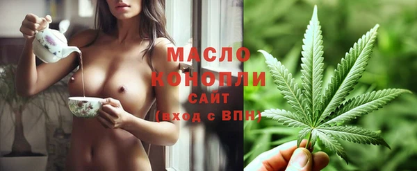 молекула духа Наволоки