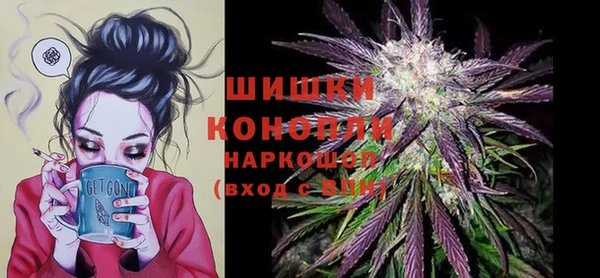 молекула духа Наволоки