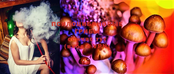 Альфа ПВП Надым