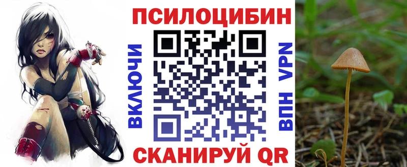 Псилоцибиновые грибы мухоморы  гидра ТОР  Олонец  купить  цена 