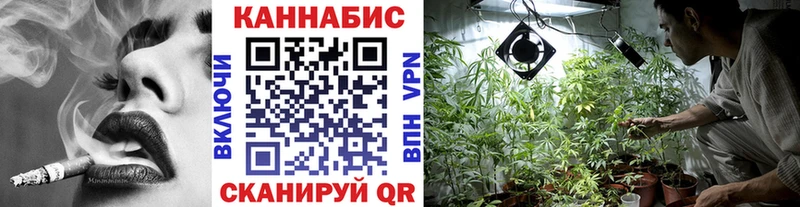 сколько стоит  ОМГ ОМГ ССЫЛКА  Бошки марихуана сатива  Олонец 